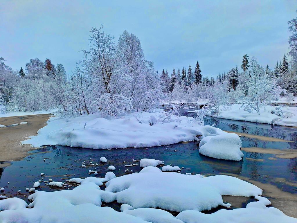 Zweden Winter Nieuw 3